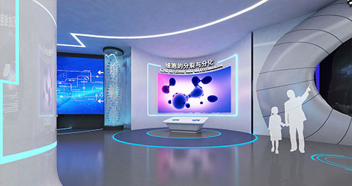 中国展览业协会